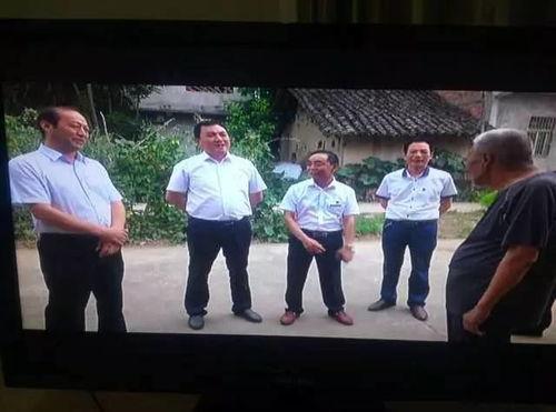 洋县新闻事件爆料,揭秘背后真相与影响  第3张